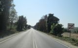 II-51_Biala-Koprivec_NEW_3.JPG
