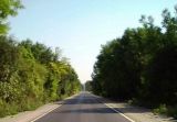 III-204_Razgrad-Blagoevo_NEW_3.jpg